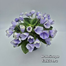 Н-Нейтири (Бердникова)  
